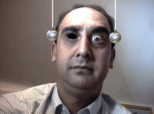 funnyanimal221.gif
