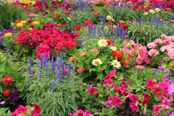 gardenflowers-600x400[1].jpg