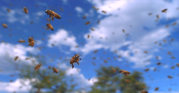 giphy-1500622910180-0-8-364-594-crop-1500622945876.gif