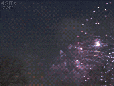 giphy (9).gif