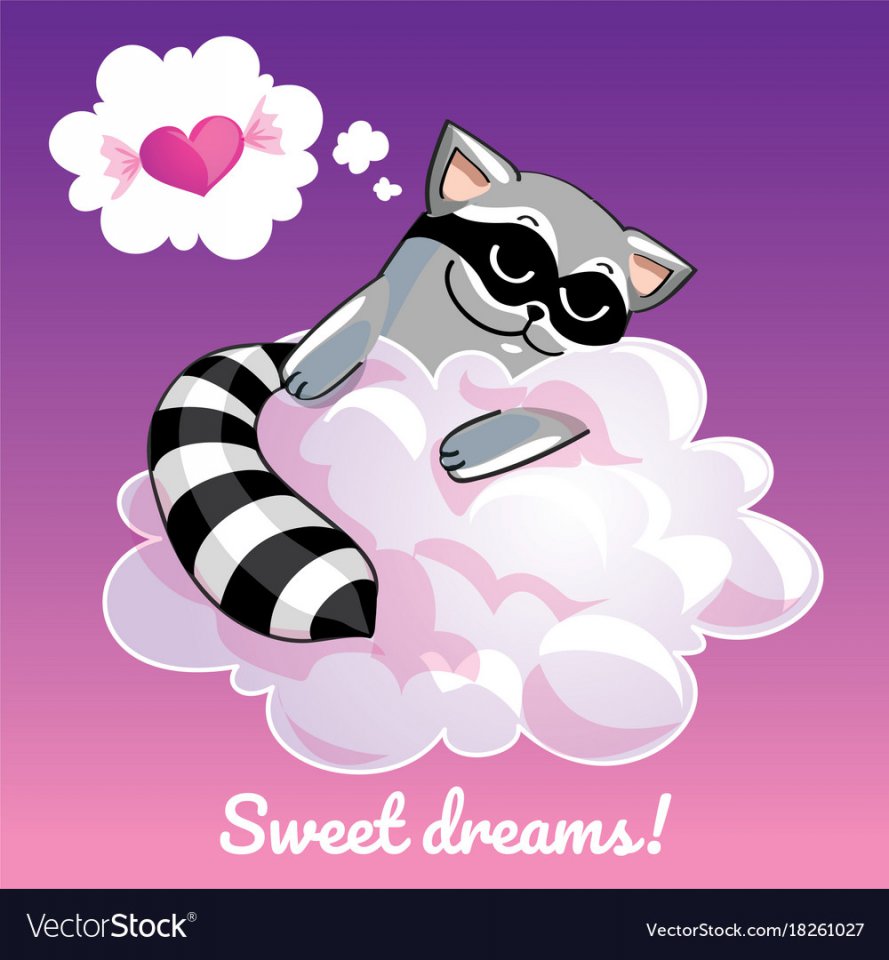 greeting-card-with-a-cartoon-raccoon-on-the-cloud-vector-18261027.jpg