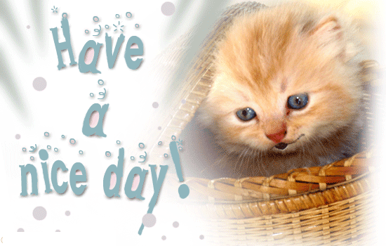 Have-A-Nice-Day1.gif
