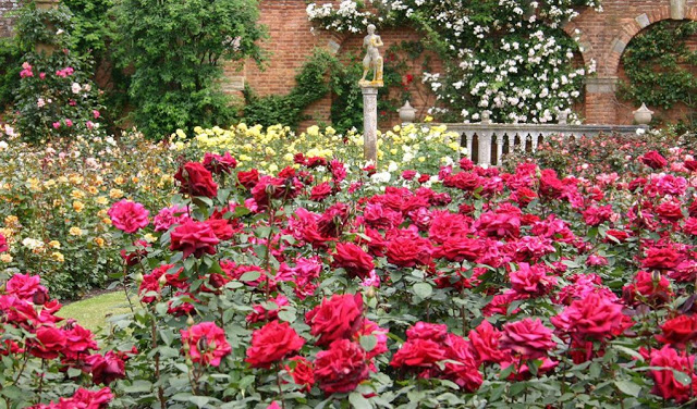 hever-castle-gardens-history-rose-gardens-1020x599[1].jpg