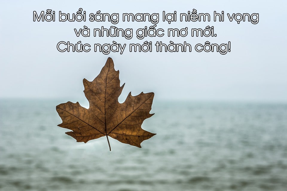hinh-anh-chao-buoi-sang-chuc-buoi-sang-an-lanh-10-min.jpg