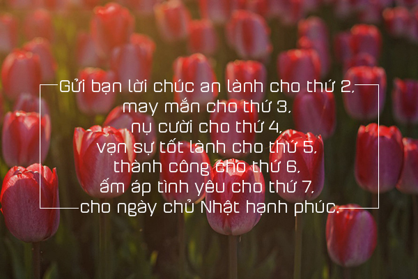 hinh-anh-chao-tuan-moi-dep-va-y-nghia-nhat-hinh-anh-3[1].jpg