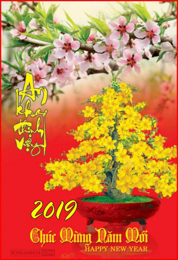 hinh-anh-chuc-mung-nam-moi-2019-y-nghia-125c2dafae12506_dd7bb58ff78eaaeb82149f9d5f387144.jpg