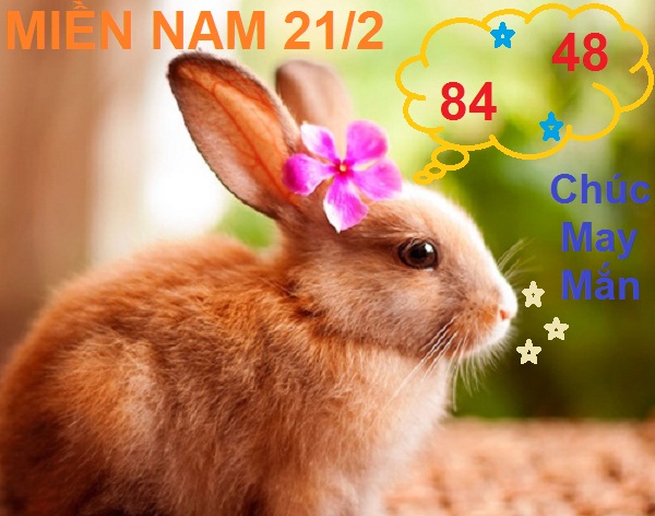 hinh-anh-con-tho-hoat-hinh-dep-nhat-de-thuong-cho-be-to-mau7.jpg