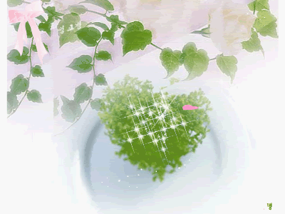 hinh-anh-dong-cuc-dep-3_052340127.gif
