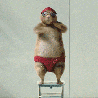 Hinh-Anh-Dong-Hai-Huoc-Ve-Dong-Vat- (2).gif