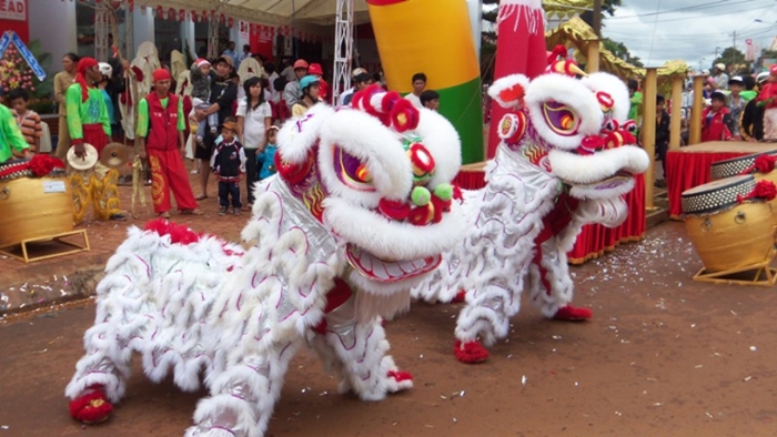 hinh-anh-mua-lan-su-rong-ngay-tet-dep-va-vo-cung-an-tuong-8.jpg
