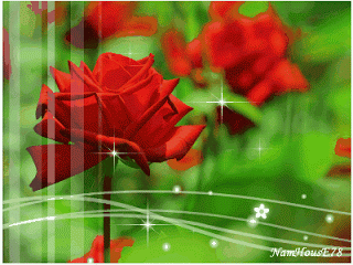 Hinh-dong-hoa-hong-dep (1).gif