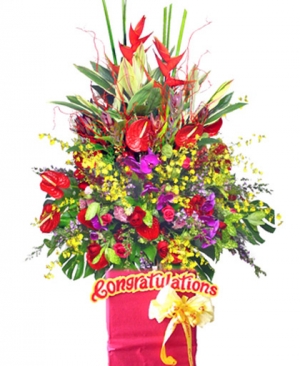Hoa_Khai_Truong_02-300x366.jpg
