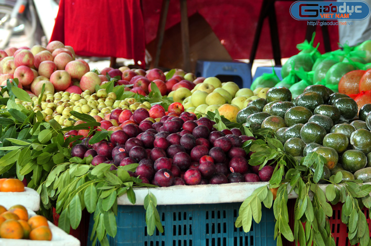 hoa_qua_trungquoc_giaoduc.net.vn17[1].jpg