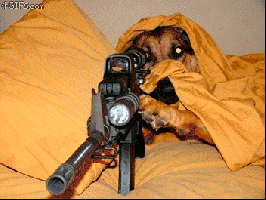 I+ve+been+waiting+so+long+to+use+this+gif+_516dc4c1b19bac1ac13ad355e419afea.gif