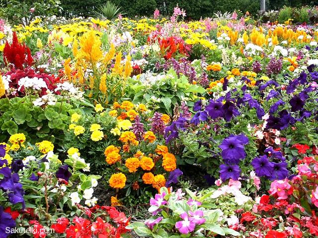 ideas_small_gardens[1].jpg