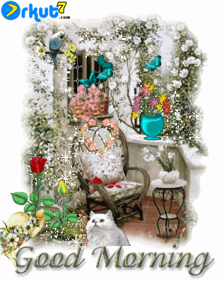 image.gif