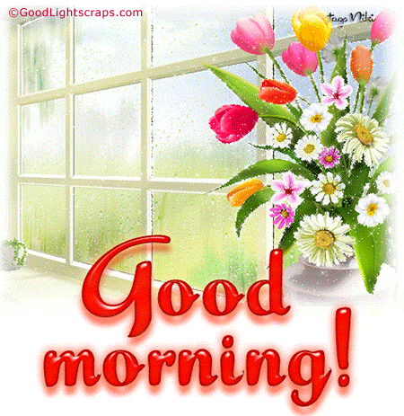 image.gif