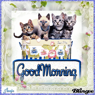 image.gif