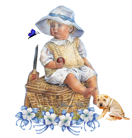 image.gif