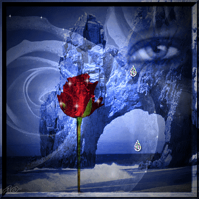 image.gif