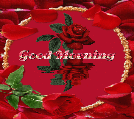 image.gif