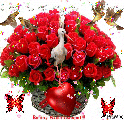 image.gif