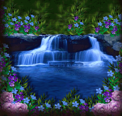 image.gif