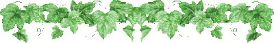 image.gif