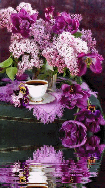 image.gif