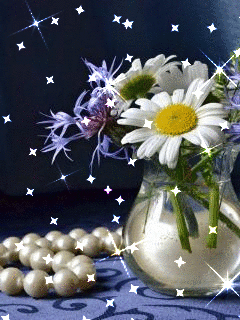 image.gif