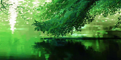 image.gif
