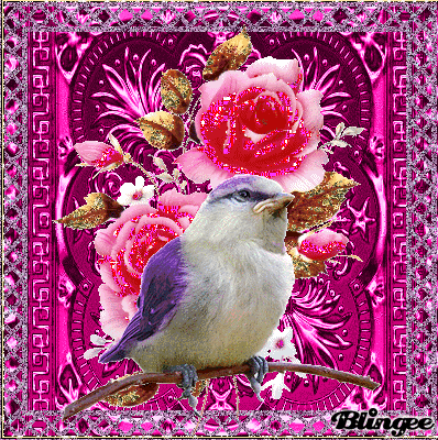 image.gif