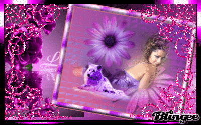 image.gif