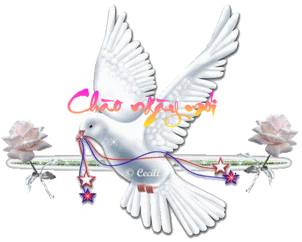 image.gif