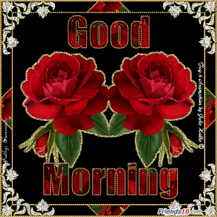 image.gif