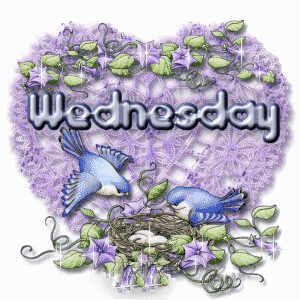image.gif