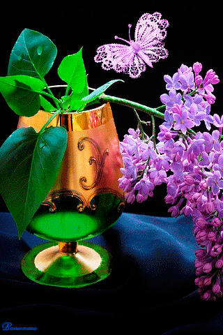image.gif