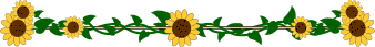 image.gif