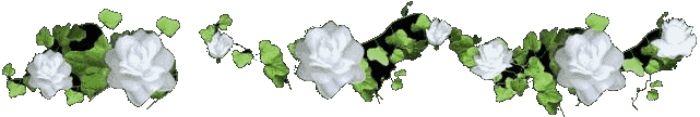 image.gif