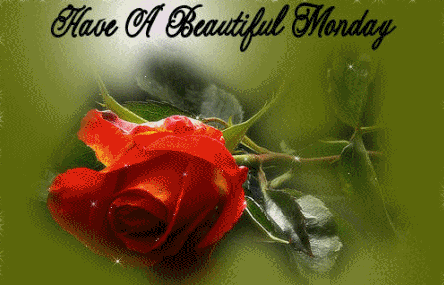 image.gif