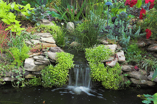 image.gif