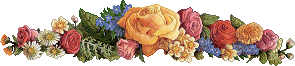 image.gif
