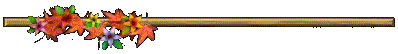 image.gif