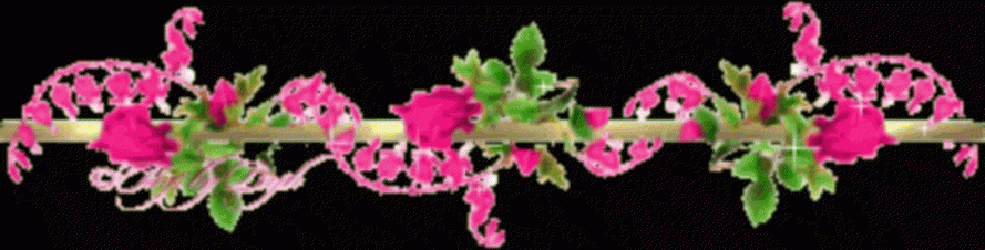 image.gif