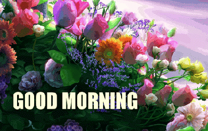 image.gif