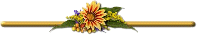 image.gif