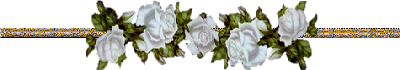 image.gif