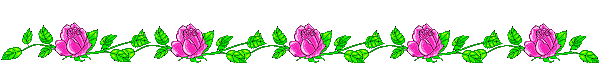 image.gif