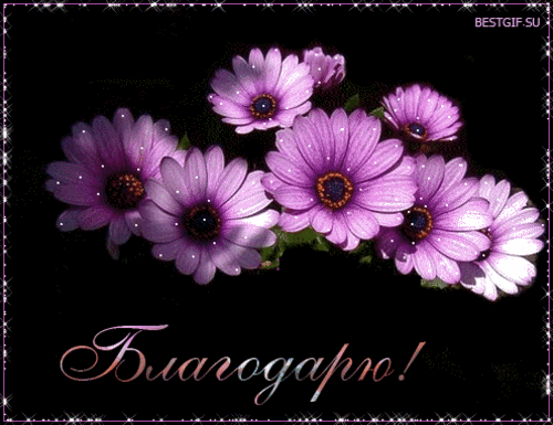 image.gif