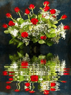 image.gif